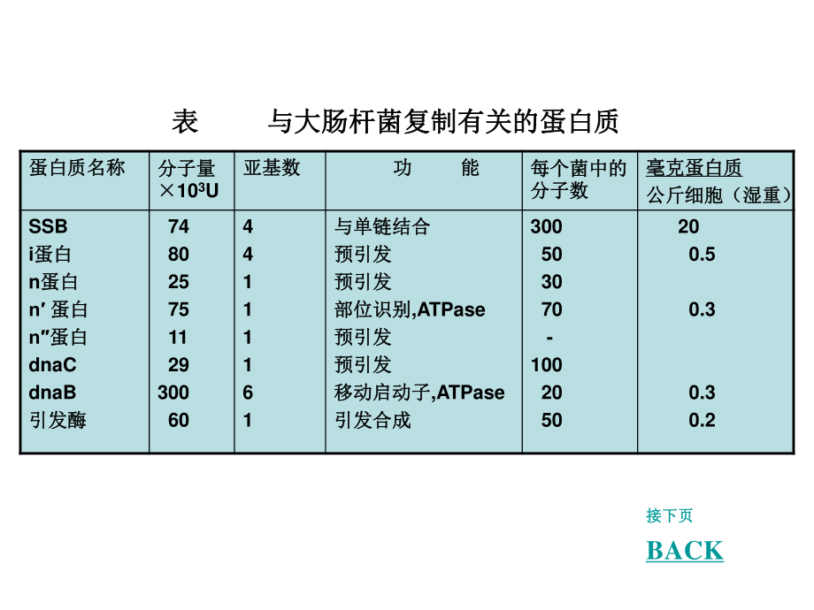 4+参与DNA复制有关的酶和蛋白质.ppt_第3页