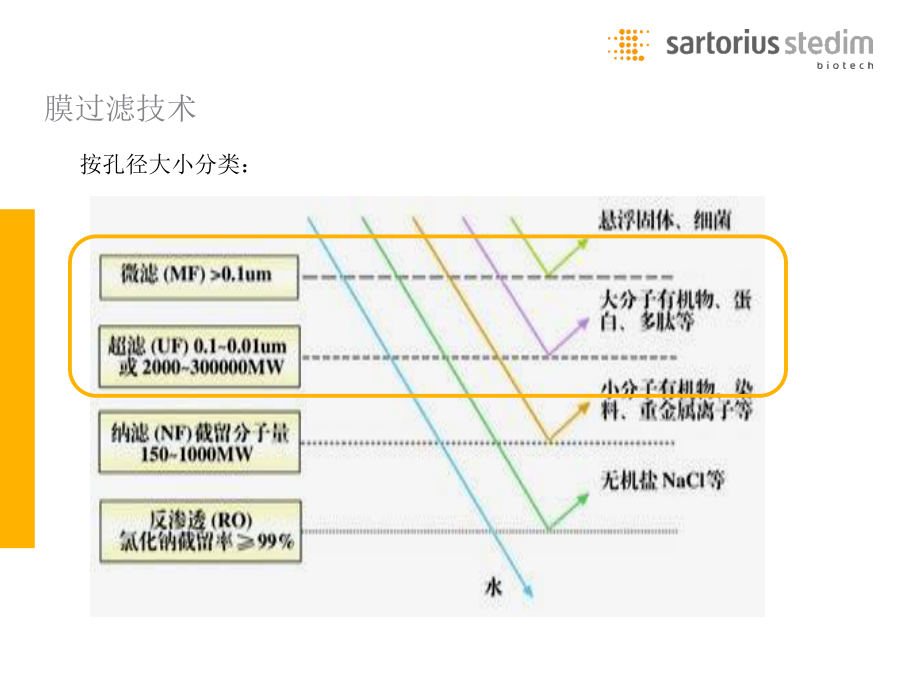 切向流过滤在制药工艺中的应用.pdf_第3页