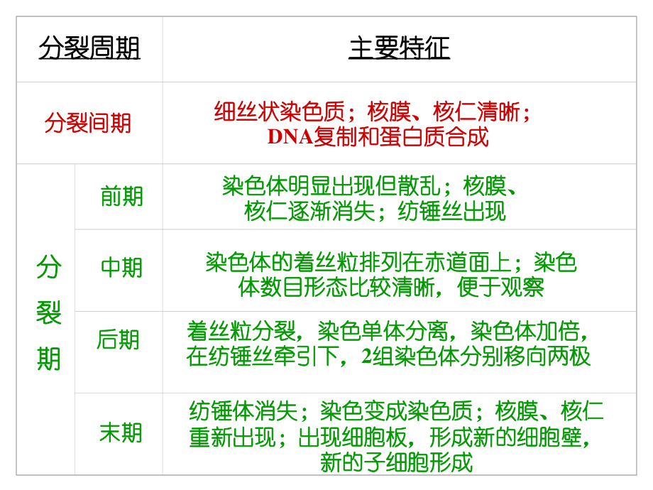 动植物细胞有丝分裂比较.ppt_第1页