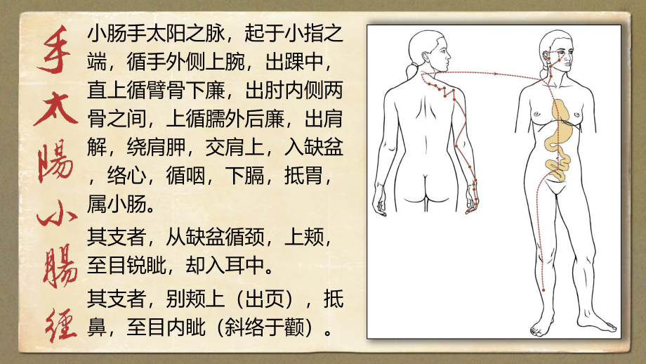 8.手太阳小肠经.ppt_第2页