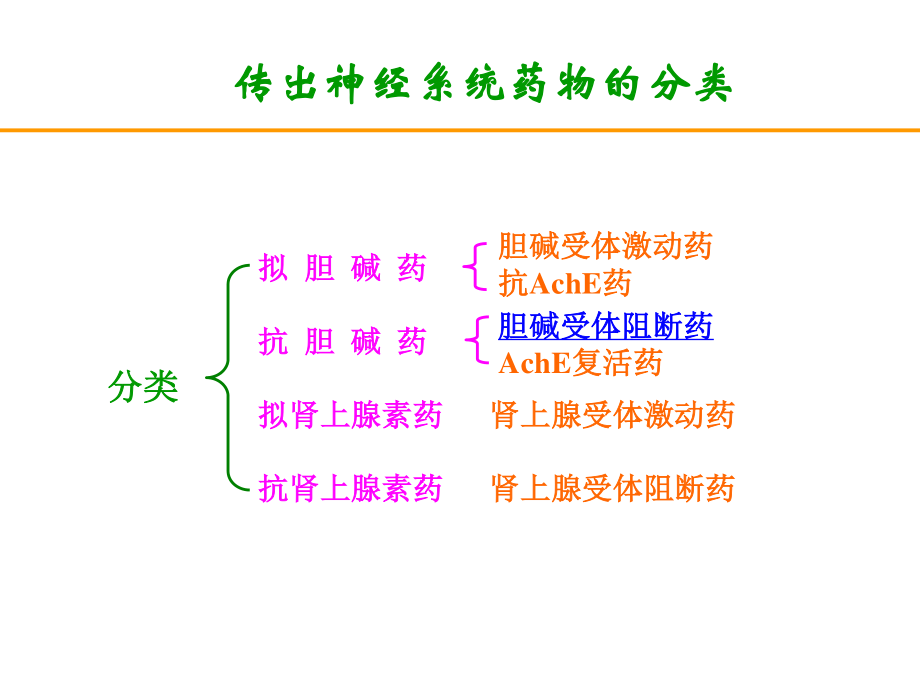 【若风制作】胆碱受体阻断药(五年本).解读.ppt_第1页