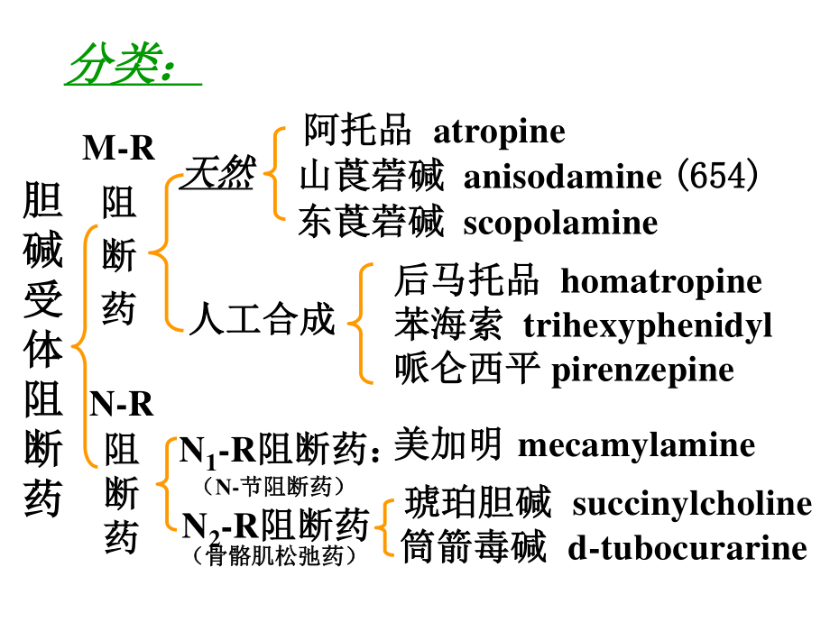 【若风制作】胆碱受体阻断药(五年本).解读.ppt_第2页