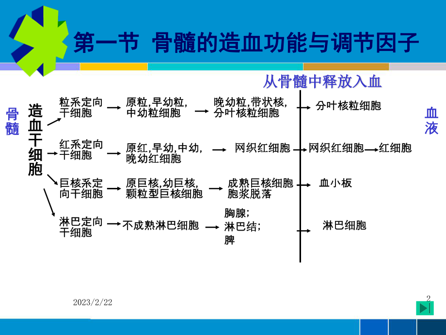 7血液毒理.ppt_第2页