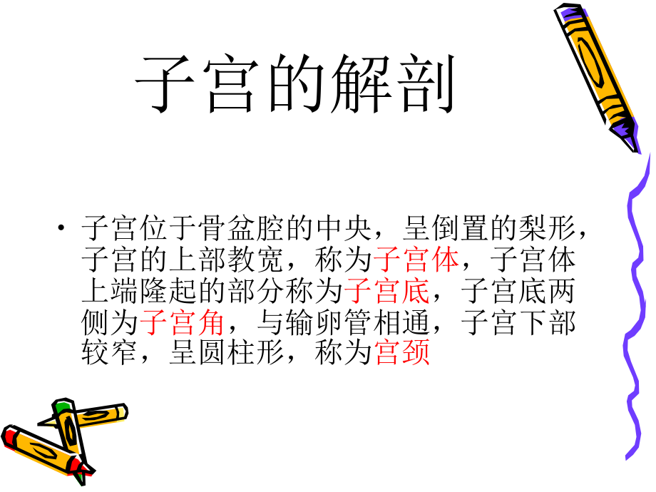 全子宫--次全子宫手.ppt_第1页