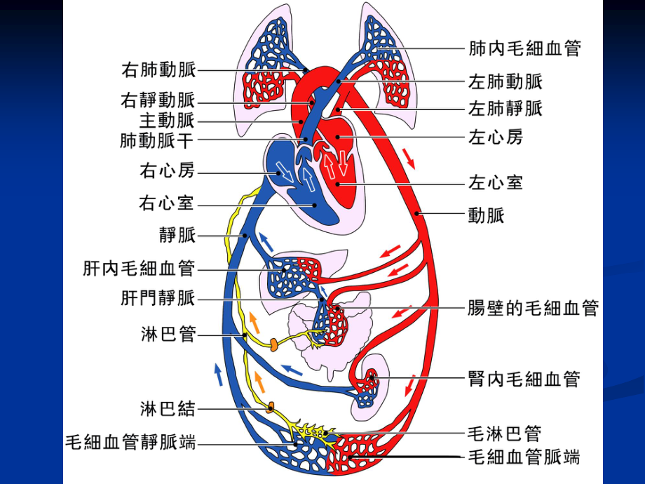 充血性心力衰竭10.06.ppt_第2页