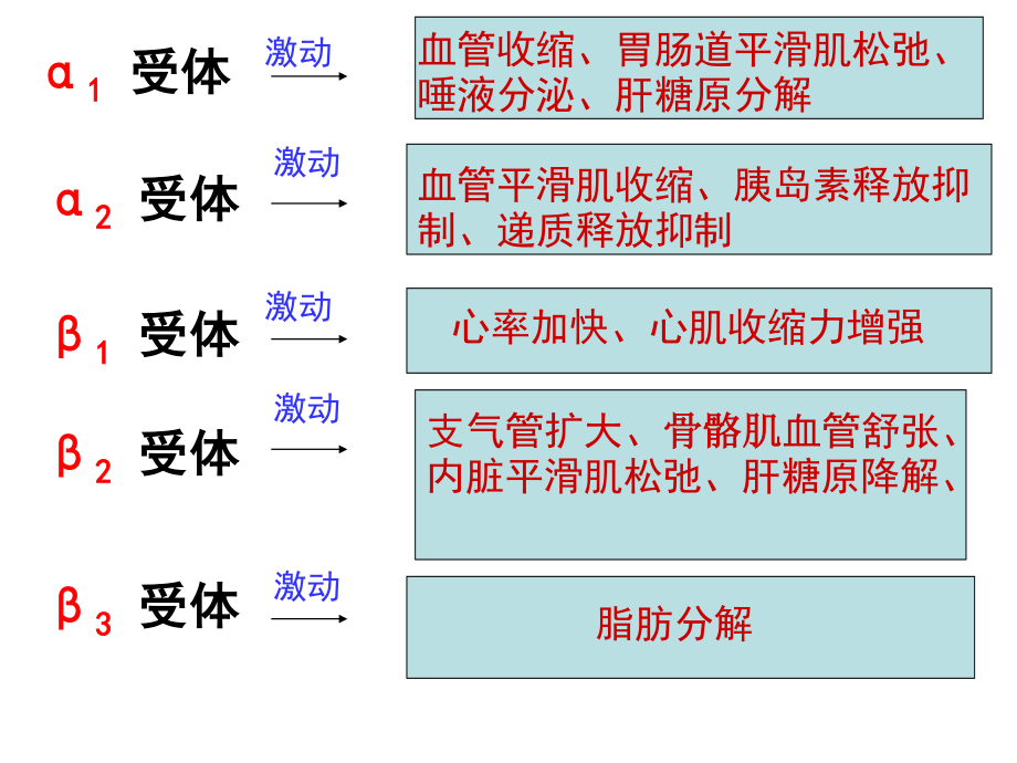 α激动药、β--激动药指导.ppt_第1页