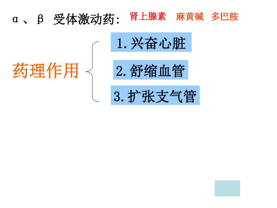 α激动药、β--激动药指导.ppt_第2页