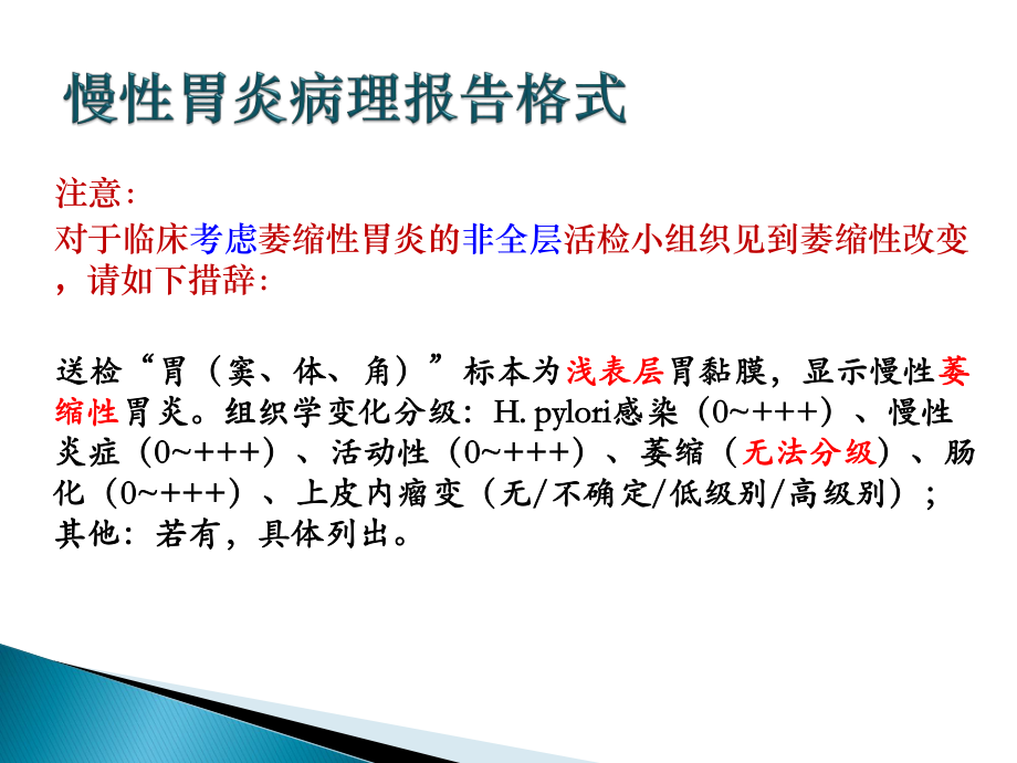 上皮内瘤变.ppt_第3页