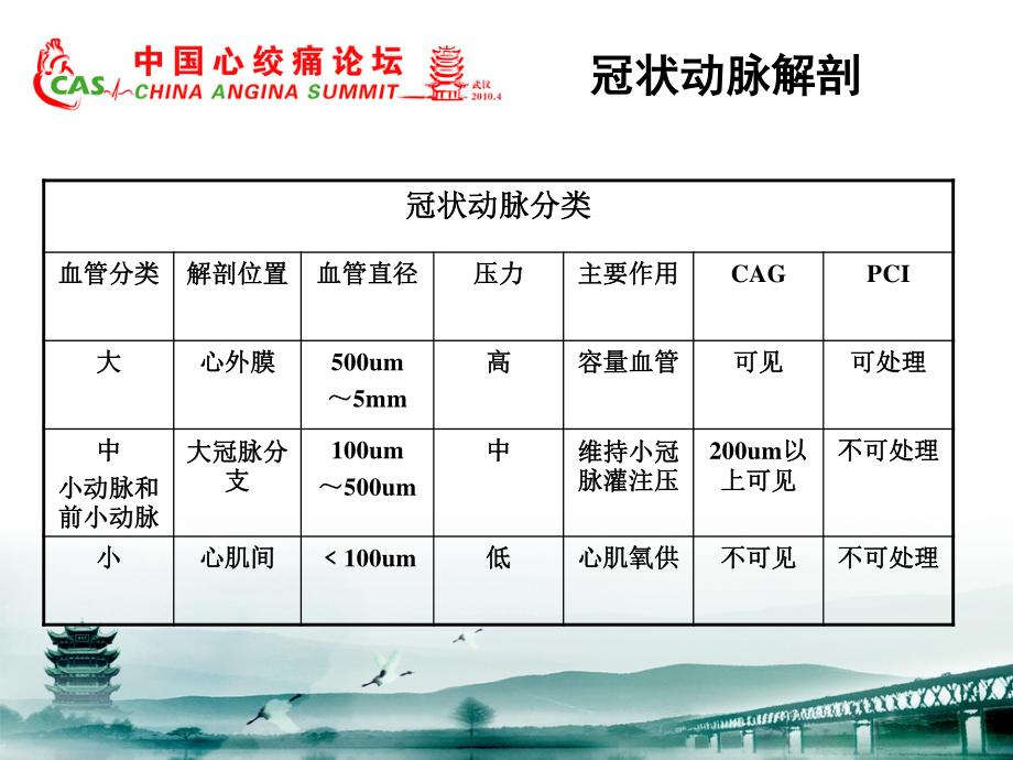 冠状动脉微血管病变.ppt_第3页