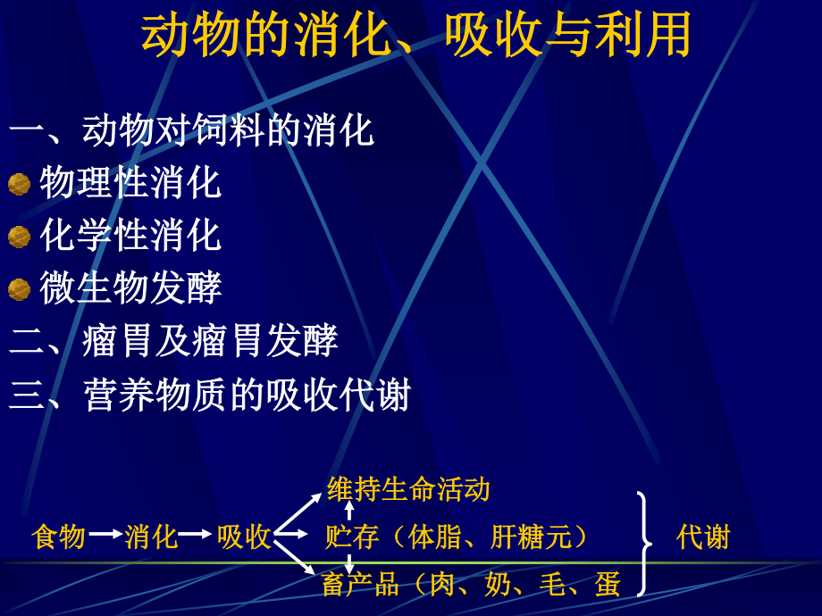 动物的消化、吸收和利用.ppt_第1页