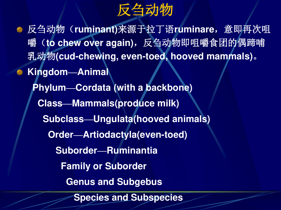 动物的消化、吸收和利用.ppt_第2页