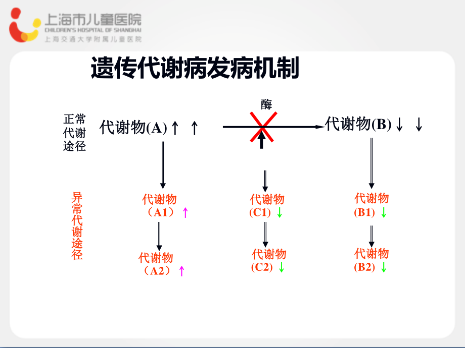 上海儿童医院.ppt_第3页