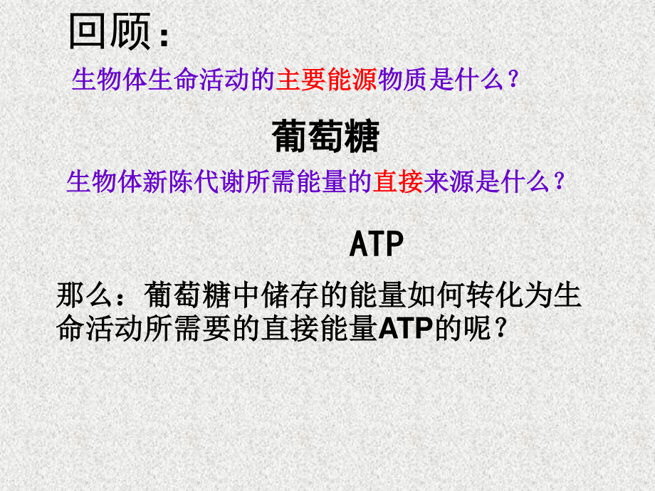 5.3ATP的主要来源──细胞呼吸(用)概述.ppt_第1页