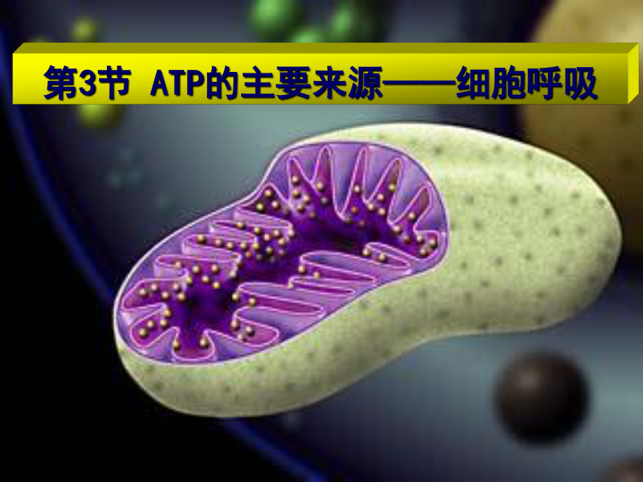 5.3ATP的主要来源──细胞呼吸(用)概述.ppt_第2页