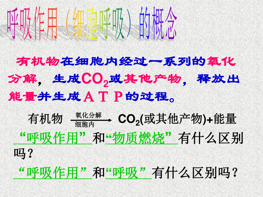 5.3ATP的主要来源──细胞呼吸(用)概述.ppt_第3页