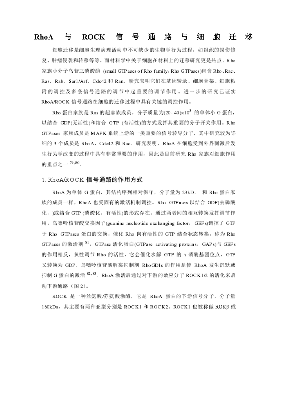 RhoA与ROCK信号通路与细胞迁移.doc_第1页