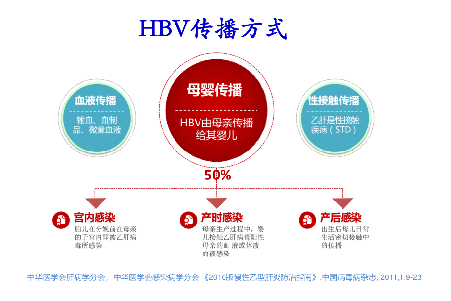 乙肝母婴传播.ppt_第3页