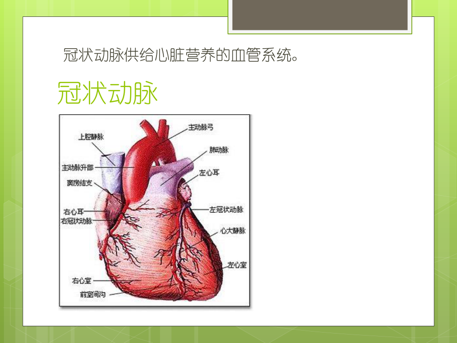 冠心病-PPT.ppt_第2页