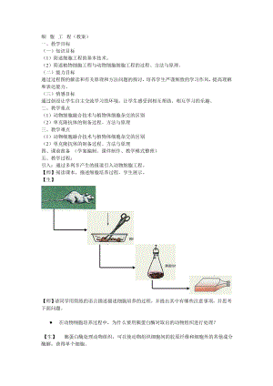 动物细胞培养学案.doc