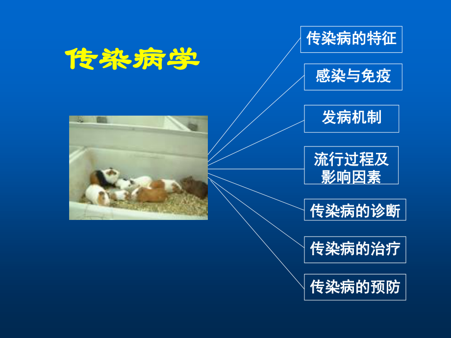 传染病学总论1.ppt_第3页