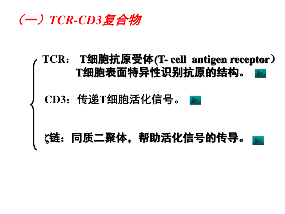 T淋巴细胞及其介导免疫应答.ppt_第3页