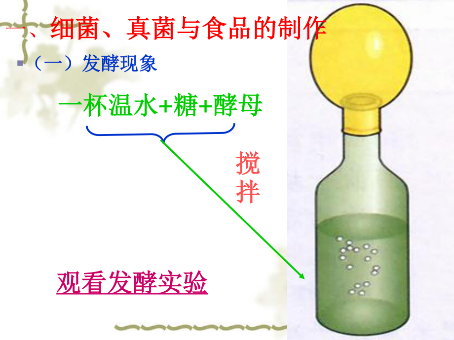 人类对细菌和真菌的利用ppt2.ppt_第2页