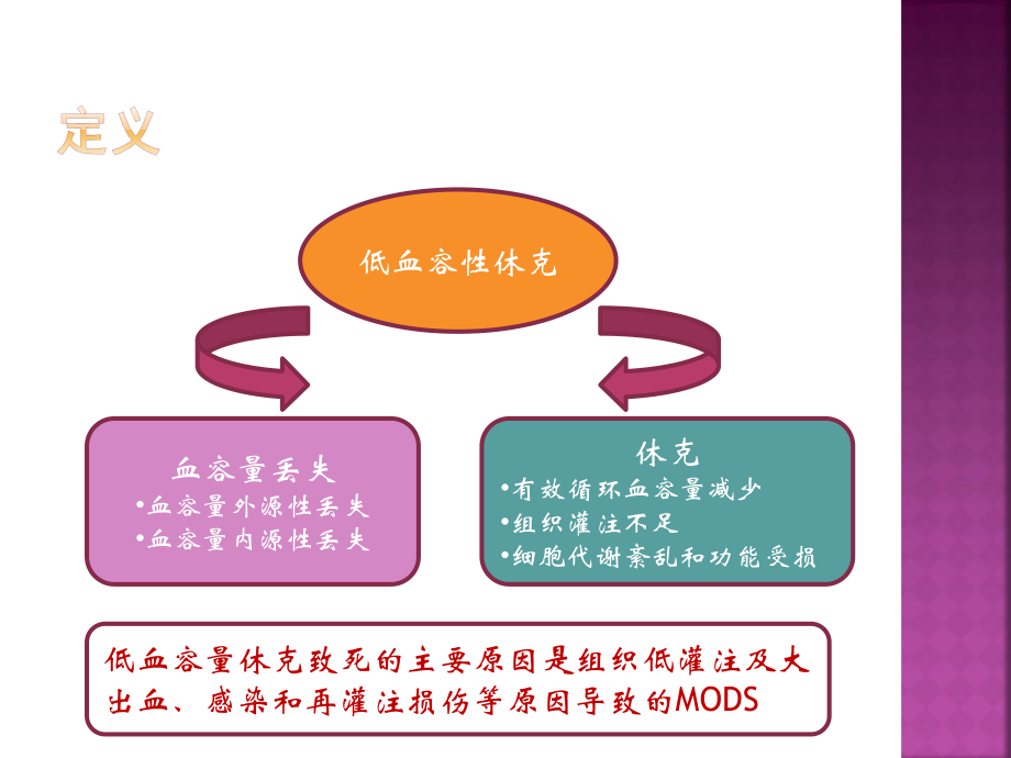 低血容量性休克指南解读---2007.pptx_第3页