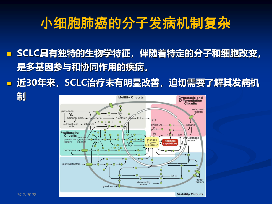 CSCO小细胞肺癌.ppt_第2页