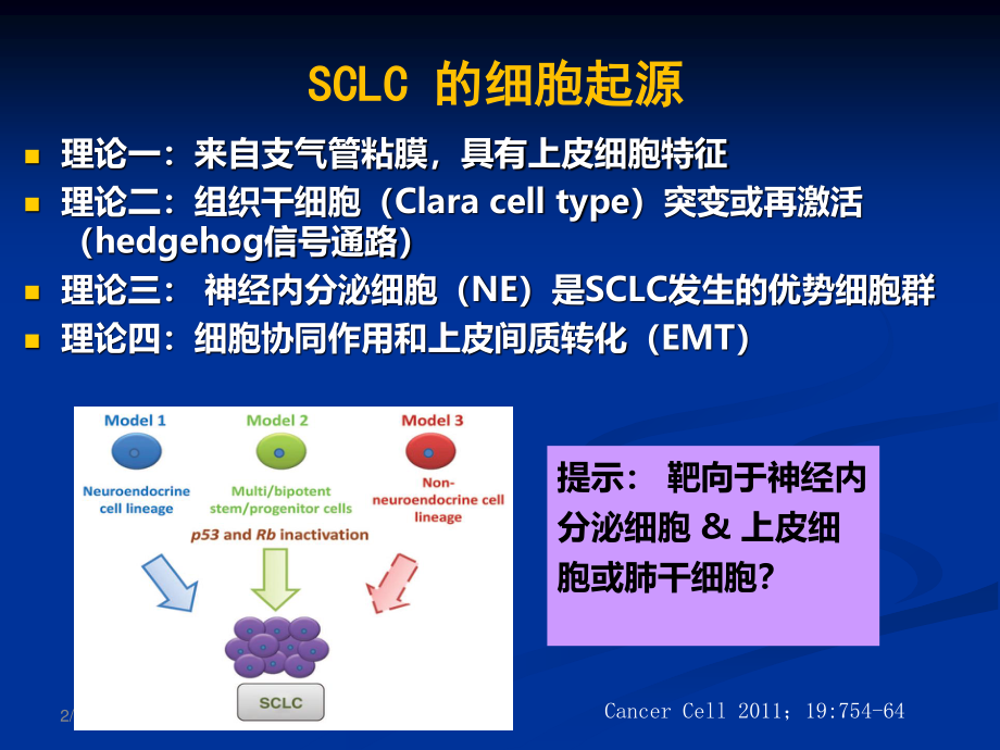 CSCO小细胞肺癌.ppt_第3页