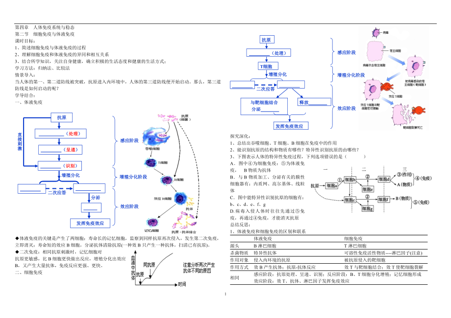 体液免疫和细胞免疫.doc_第1页