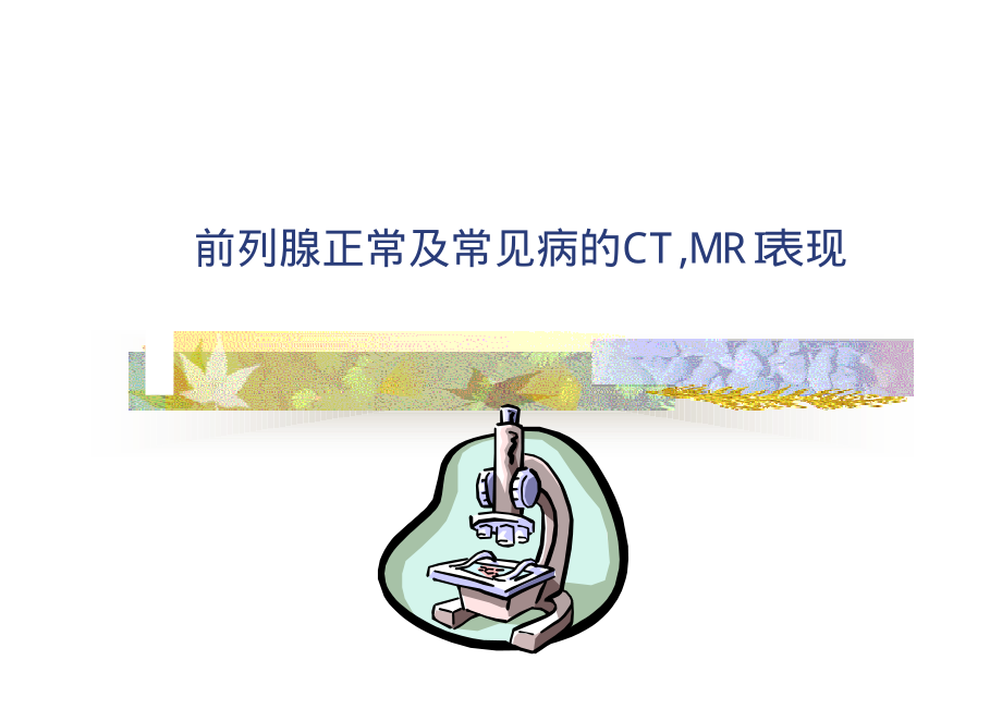 前列腺正常及常见病的影像学表现.pdf_第1页