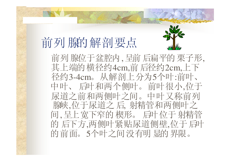 前列腺正常及常见病的影像学表现.pdf_第3页