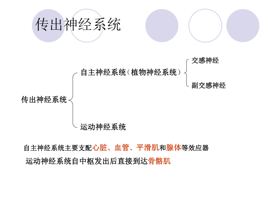 传出神经系统药理-图文.ppt_第2页