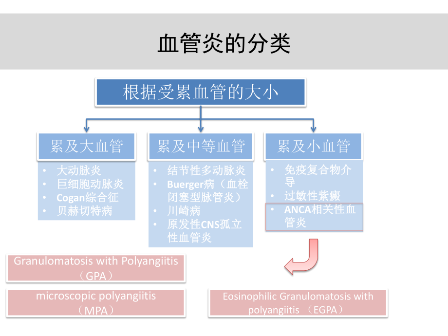 anca相关血管炎诊治进展.pptx_第3页