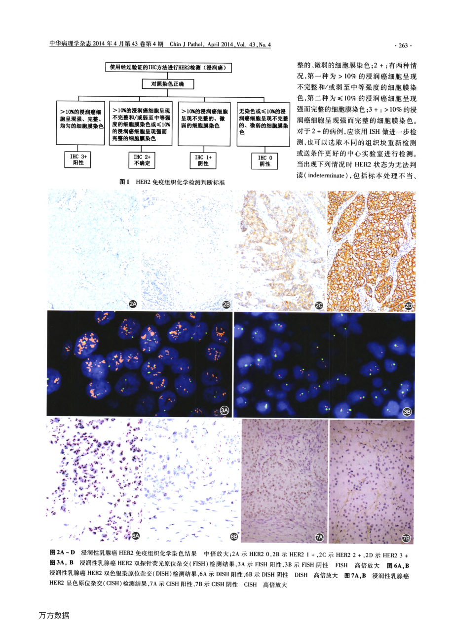 乳腺癌HER2检测指南(2014版).pdf_第2页