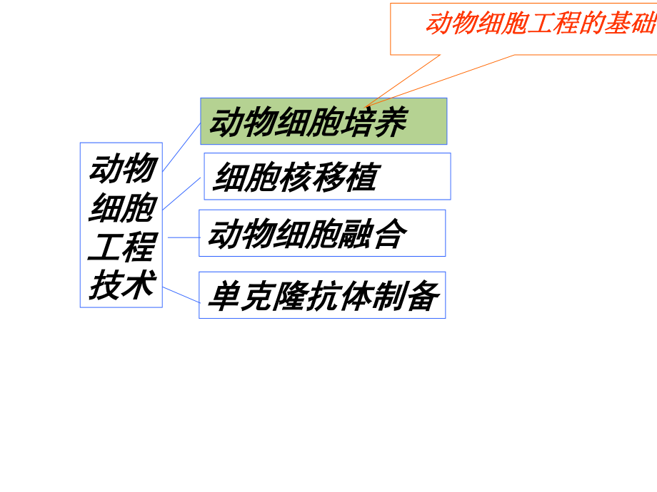 YY动物细胞工程12.ppt.ppt_第3页