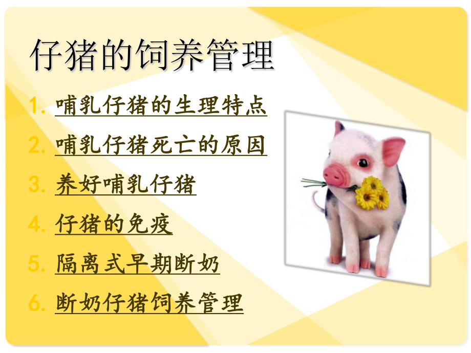 养猪与猪病防治.ppt_第2页