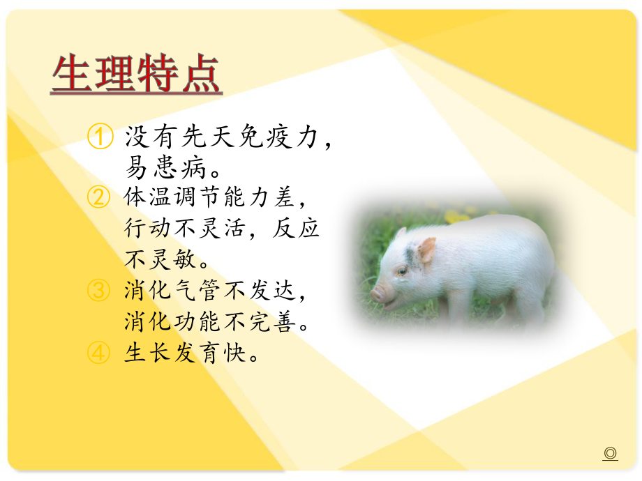 养猪与猪病防治.ppt_第3页