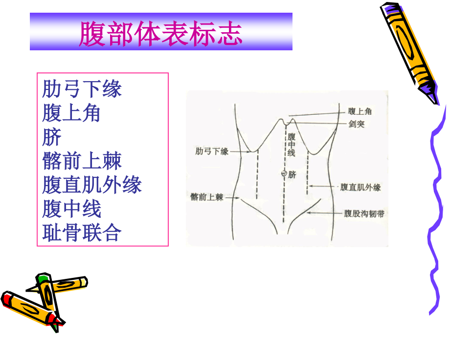 健康评估7.身体状况评估-3-腹部-58P.ppt_第3页