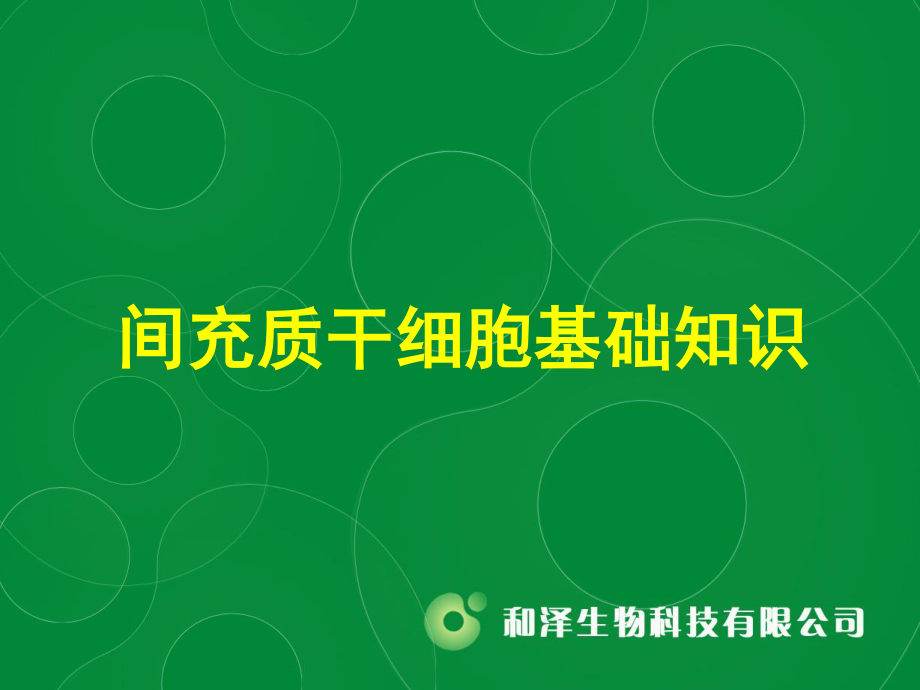 MSC干细胞.ppt_第1页