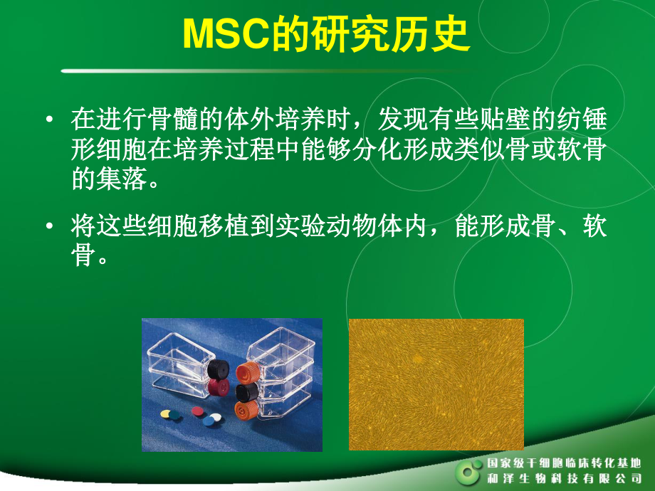 MSC干细胞.ppt_第3页