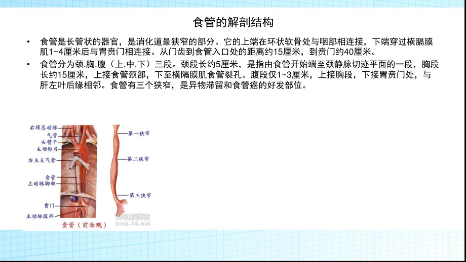 三切口食管癌根治术的配合.pptx_第2页