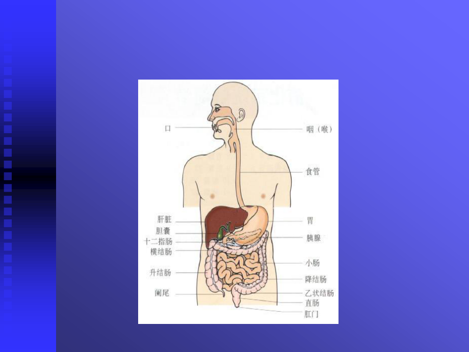 上消化道出血讲课.ppt_第2页