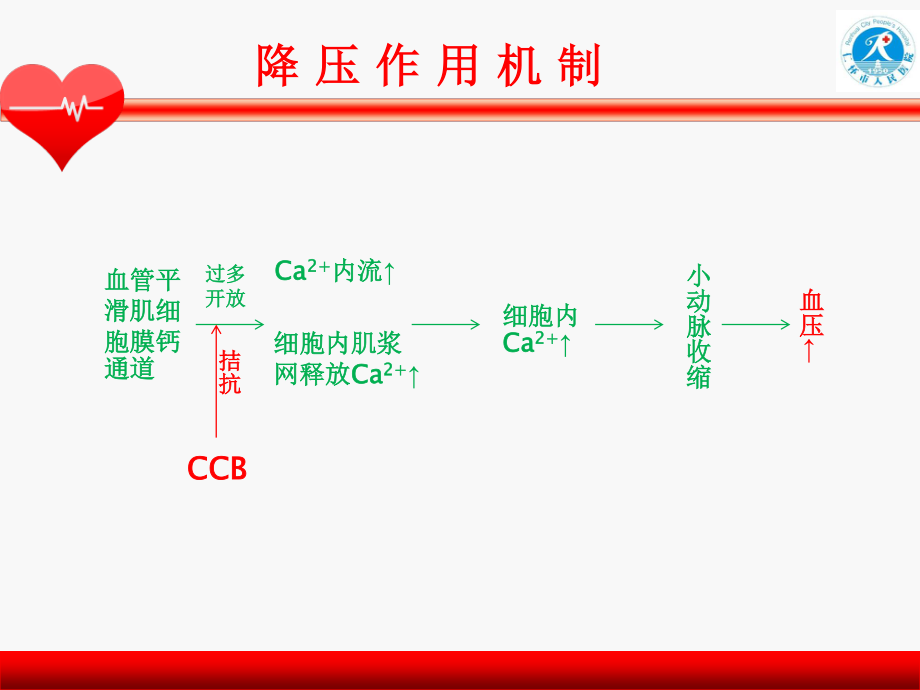 CCB类降压药.ppt_第3页