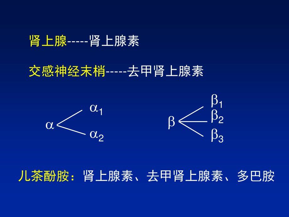 β受体阻滞剂在冠心病中的应用.ppt_第2页