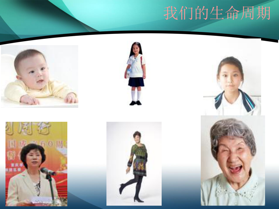 7我们的生命周期.ppt_第2页