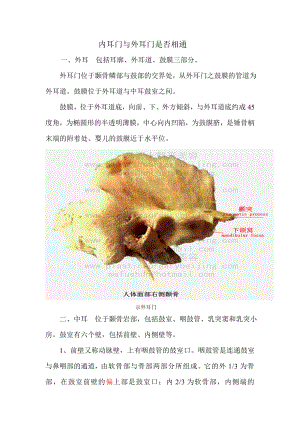 内耳门与外耳门.doc