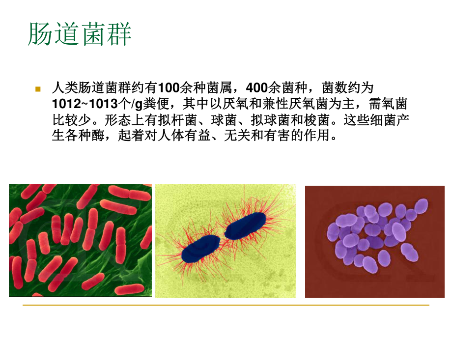 功能性食品-肠道菌群完整版.ppt_第3页