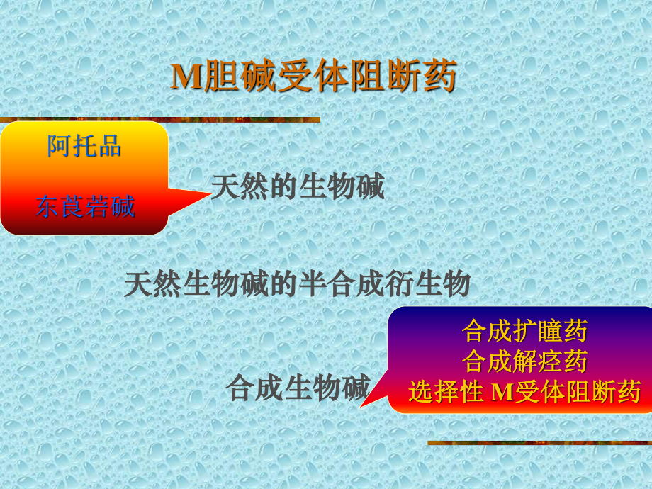 M胆碱受体阻断药(ZHT).ppt_第2页