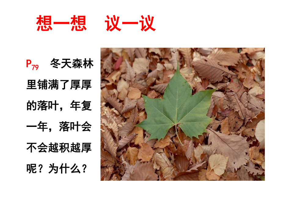 5.4.4细菌和真菌在自然界中的作用.ppt_第3页